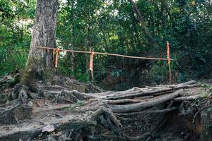 BIB: 
                            <button type="button" onclick="openModal(27308193)" class="btn btn-primary btn-sm float-right btn-popup" data-toggle="modal" data-target=".modal-high-quality">
                        <i class="fas fa-shopping-cart"></i> Add to Cart
                    </button>
                                            <button type="button" onclick="isThisMe(27308193, true)" class="btn btn-success btn-sm float-right btn-popup btn-isme hidden" data-toggle="tooltip" data-placement="bottom" title="นี่คือรูปของคุณใช่ไหม คลิกที่นี่เพื่อเอาเข้าอัลบั้ม">
                        <i class="fas fa-plus"></i> Add to album
                    </button>
                    <button type="button" onclick="isThisMe(27308193, false)" class="btn btn-warning btn-sm float-right btn-popup btn-isnotme hidden">
                        <i class="fas fa-ban"></i> Remove from album
                    </button>